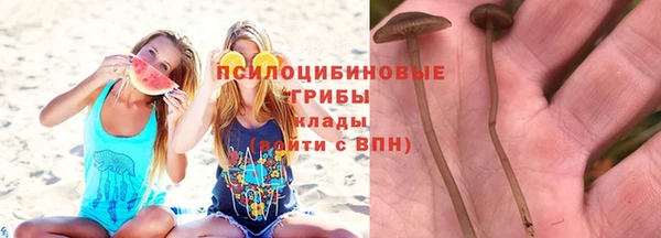 сатива Алексин
