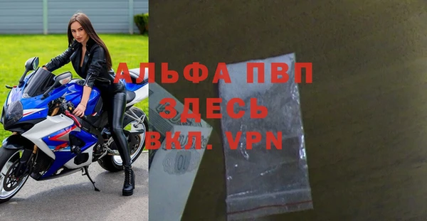 крисы Алзамай