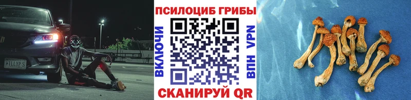 даркнет наркотические препараты  как найти   Пыталово  Галлюциногенные грибы мицелий  blacksprut онион 